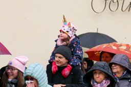 Faschingsumzug 2023 (Fotos Rochus Hetzendorfer)